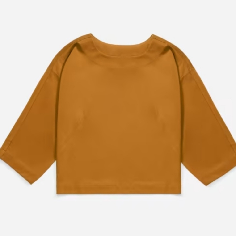 Everlane Luxe Cotton Crop Tee Shirt Top L GUC